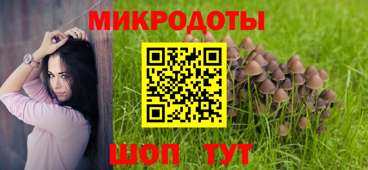 Псилоцибиновые грибы Psilocybe Махачкала