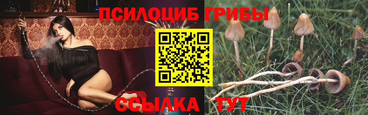 МАРИХУАНА  Махачкала  МЕФ кристаллы  Кокаин  ГАШИШ  Лсд 25  Вход с VPN  Бошки Шишки  ГАШ  Амфетамин  